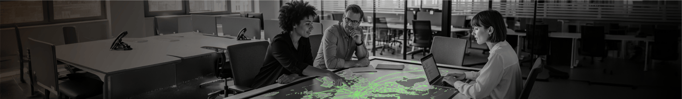 A true international and european telecom operator