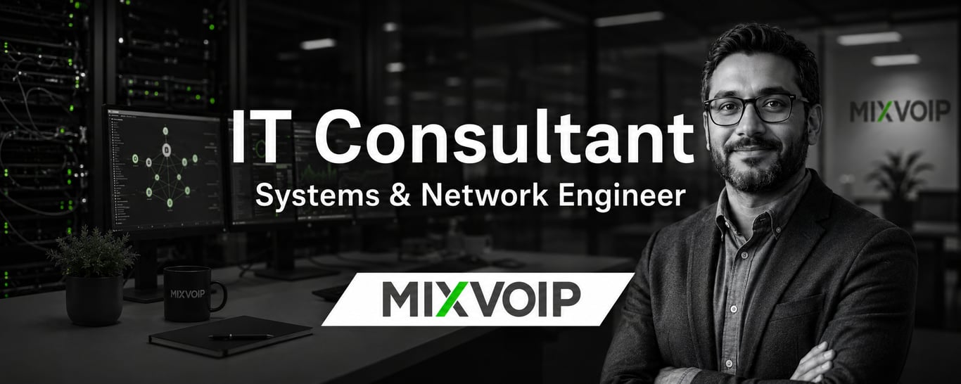 IT Consultant / Systems & Network Engineer