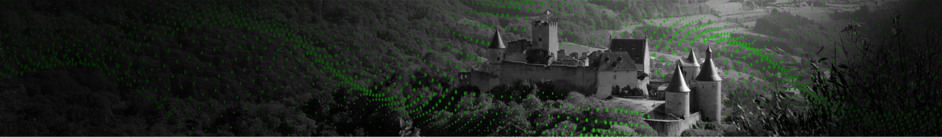 Business internet providers in Luxembourg