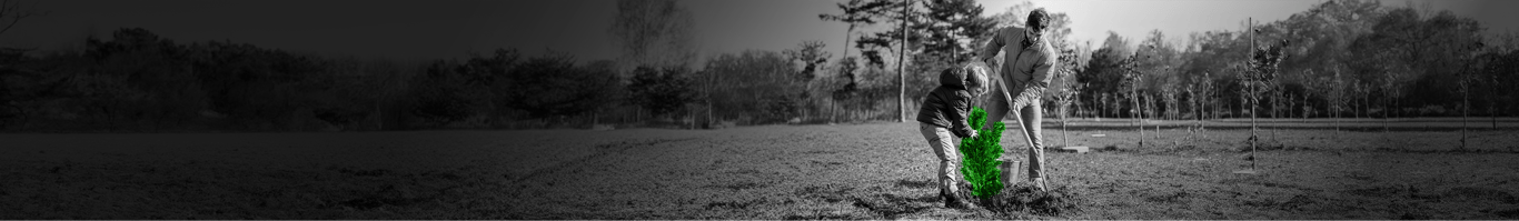 Feedback für Wälder